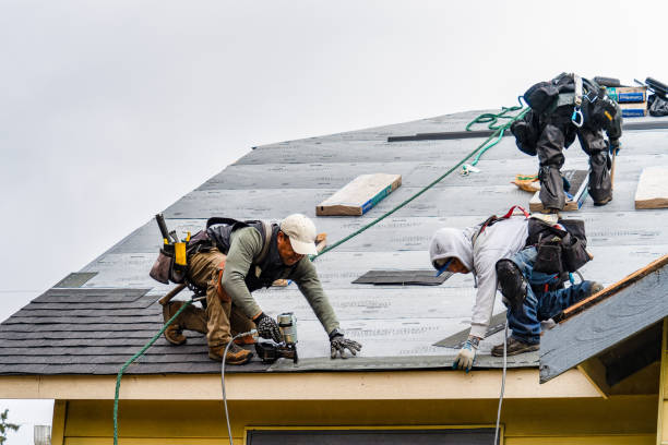 Professional Roof Inspection technician working in Cropseyville, NY